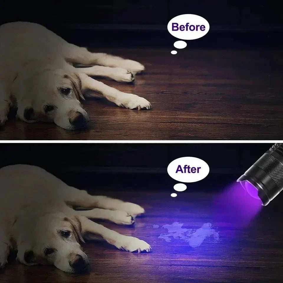GlowInspect - UV lamp for urine and stains