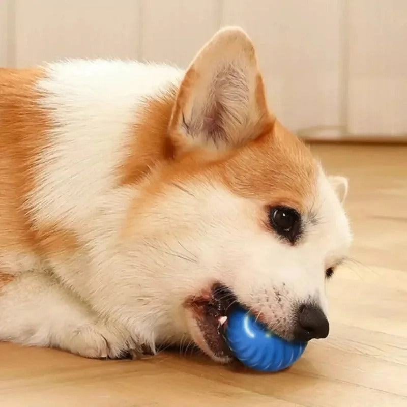 SmartPlay – Automatic Play Ball for Dogs
