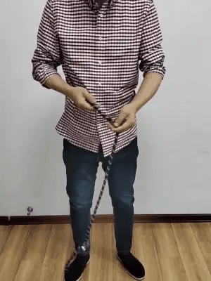FreedomLeash – Innovative Hands-Free Dog Leash