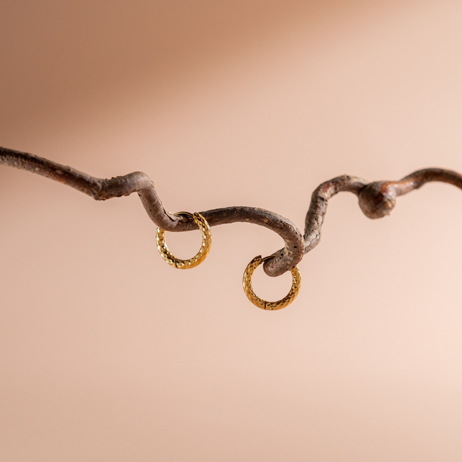 Sparkling Hammered Earrings - Livia
