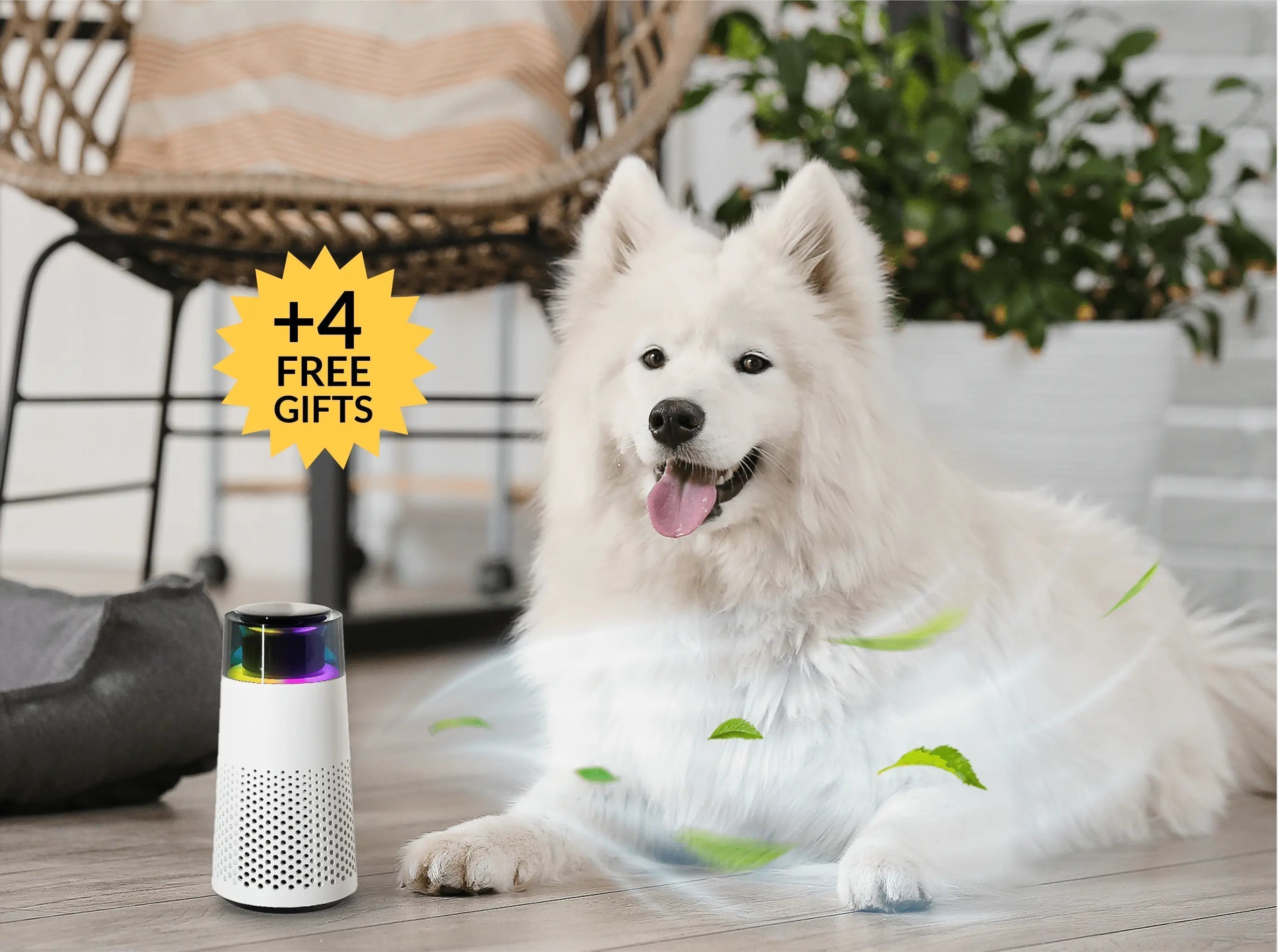 PetFresh - Aromatic Diffuser for Pets