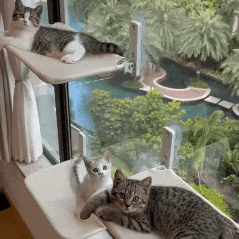 PawPerch – Stylish Foldable Cat Hammock