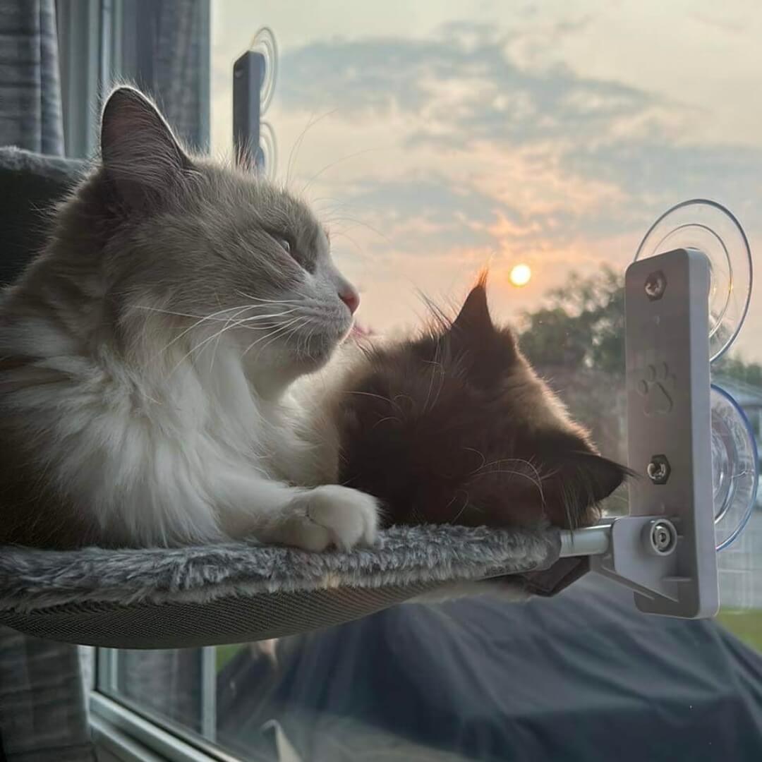 PawPerch – Stylish Foldable Cat Hammock