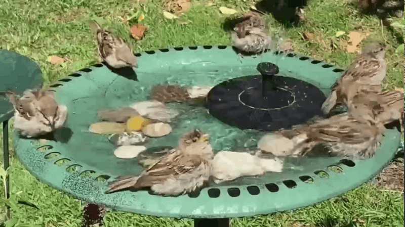 TranquilFlow – Relaxing Garden Fountain with Solar Light