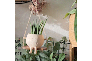 GreenOasis - Elegant Hanging Planter Basket for a Calm Atmosphere