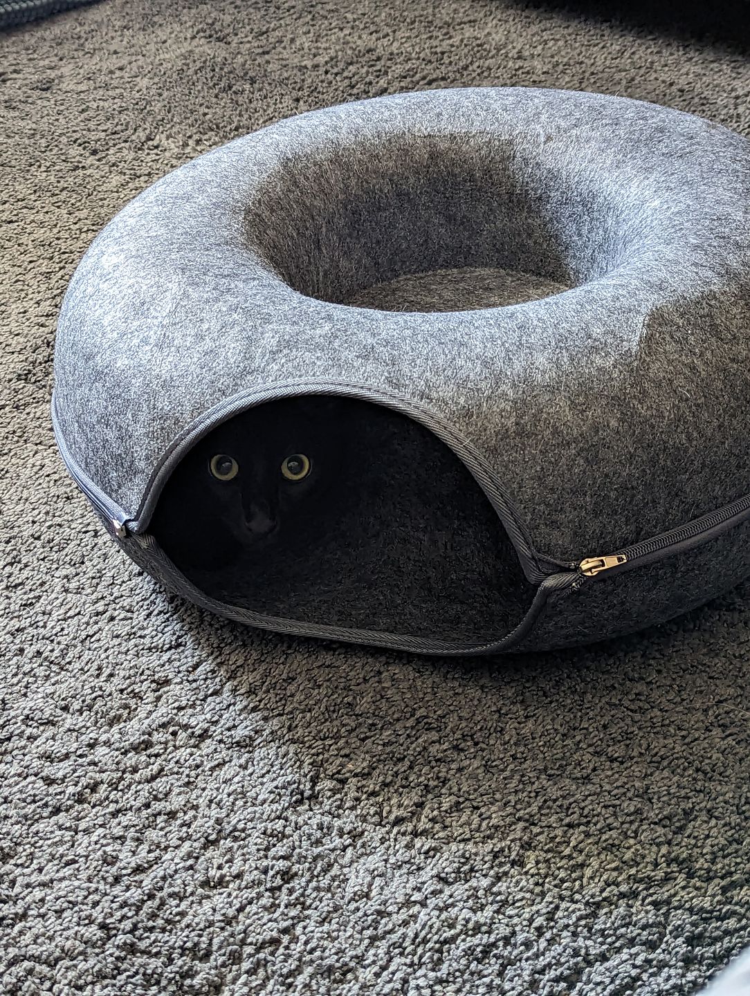 Purrfect Den - LUXURY Cat Tunnel with Sleeping Toy