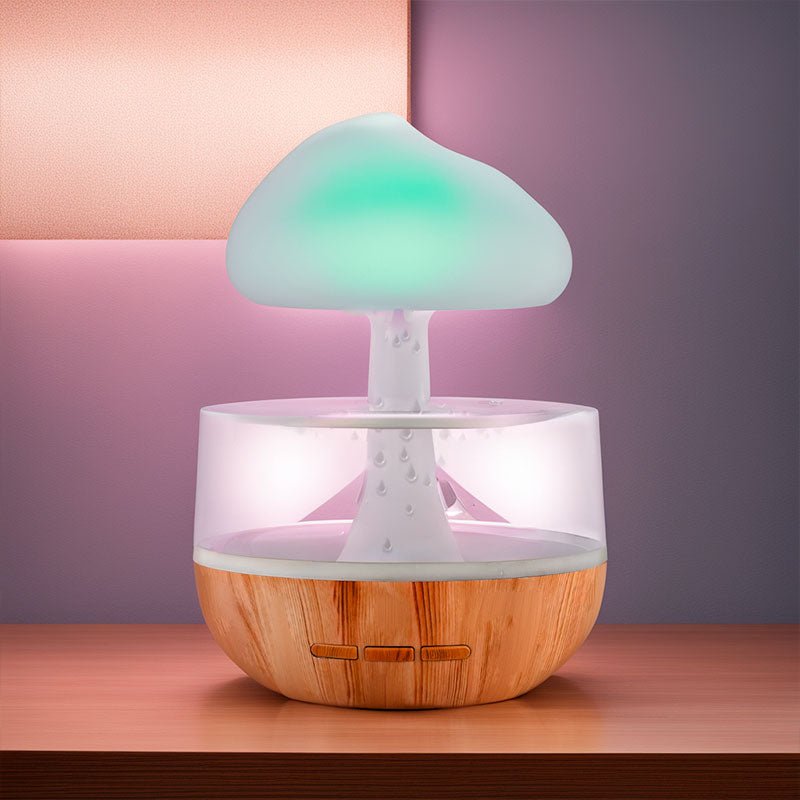 RainCloud – Elegant Design Humidifier for the Home