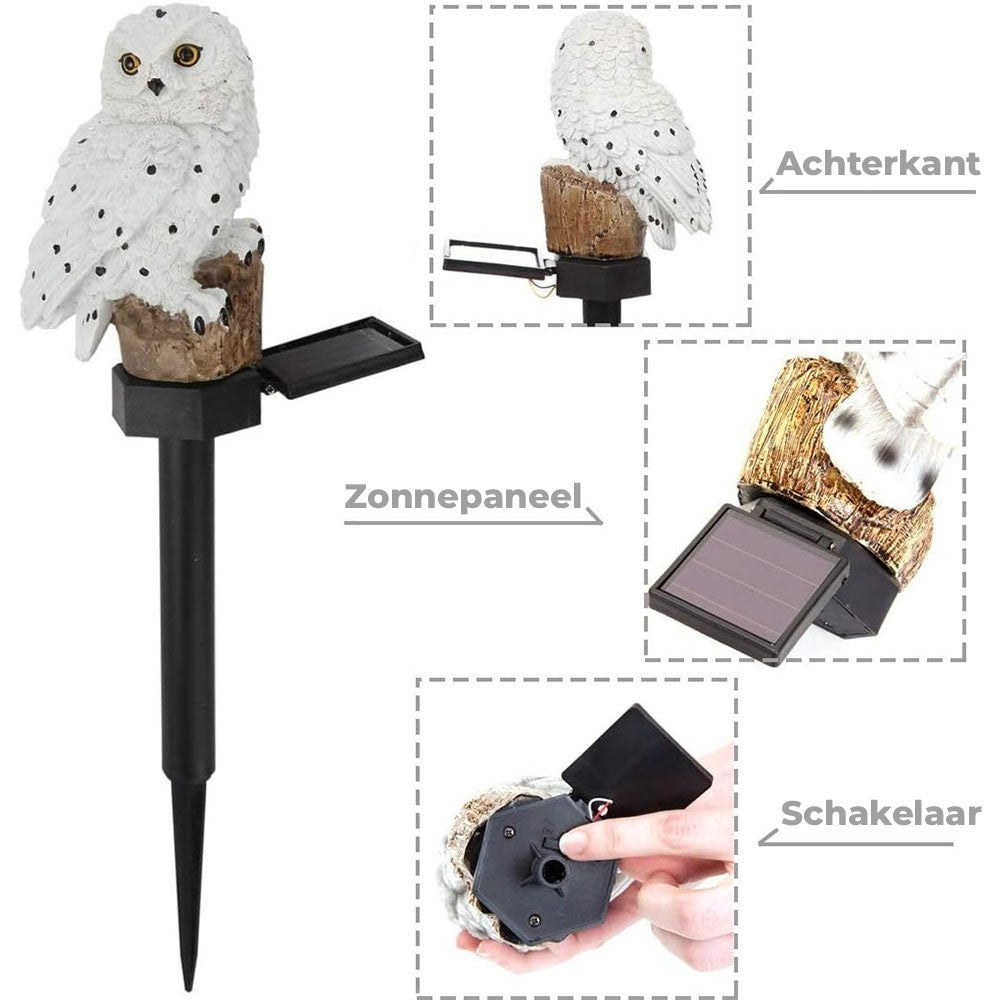 SolarGlow - Elegant Solar Lamp for Outdoor Use