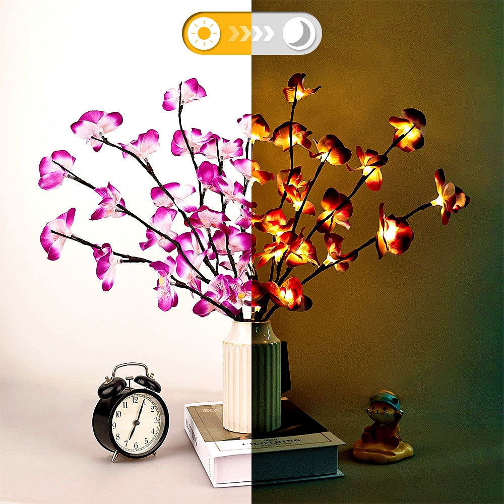 OrchidGlow – Luxury Phalaenopsis Orchid with LED lighting