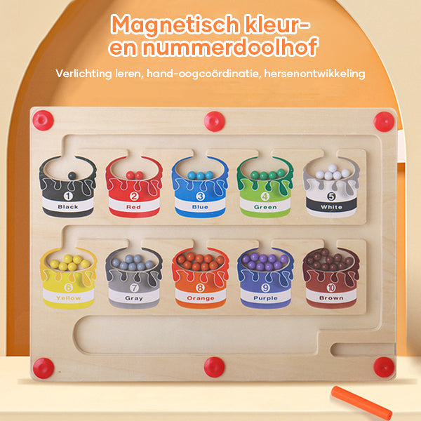 ColorMaze - Creative Magnetic Color and Number Maze