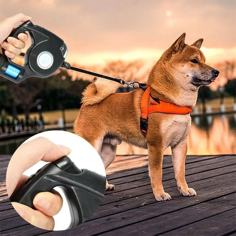Amélie Lumière – LED rope for night walks