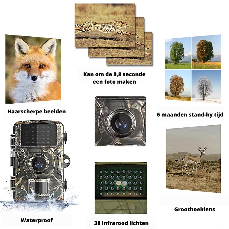 TrailVision – Compact 4K Outdoor Camera with Night Vision