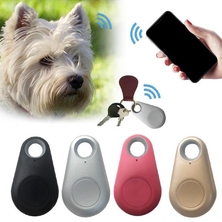 PetTrack – Compact GPS tracker for pets