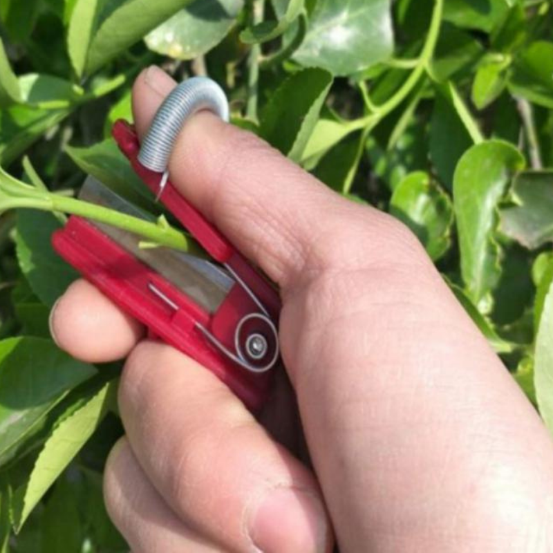 GardenGrip Tool – Easy Picking of Vegetables and Fruit