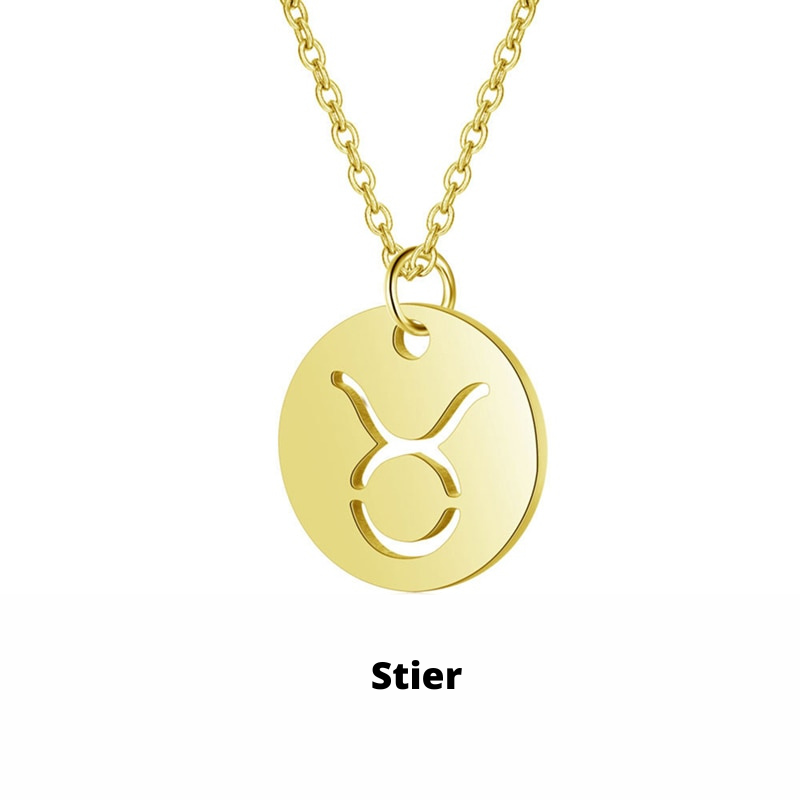 Zodiac Sign Necklace | Durable RVS, Stays Shiny!