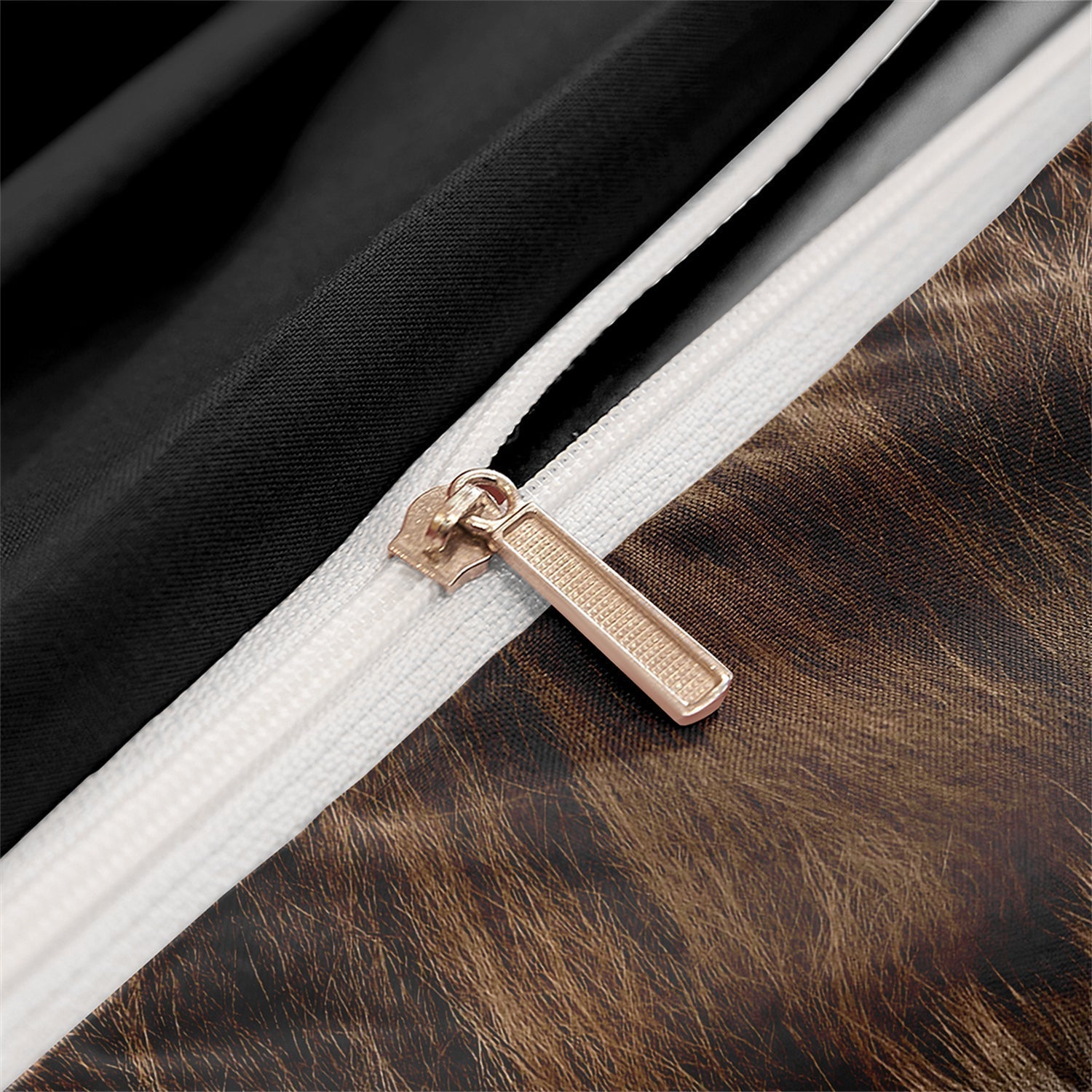 Safari Lion Print Bedding – African Wildness for Your Bedroom 