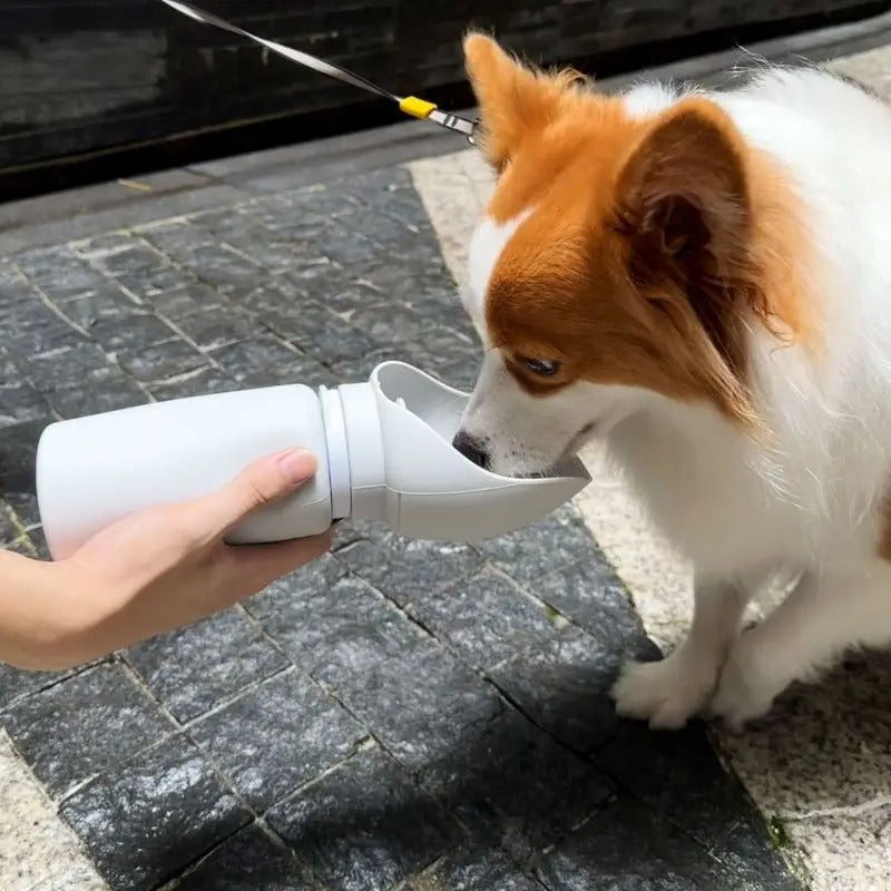 HydraPaw – Foldable Bottle for Animal Adventures