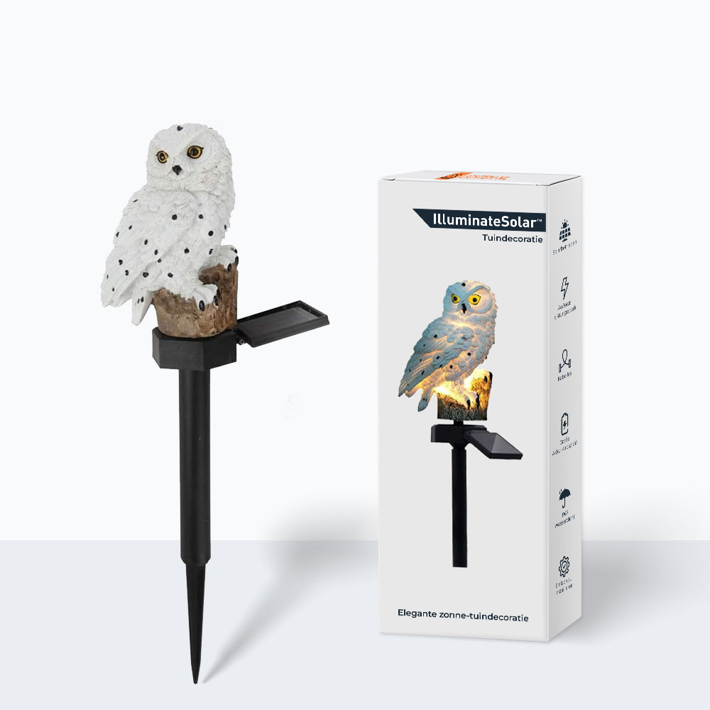 SolarGlow - Elegant Solar Lamp for Outdoor Use