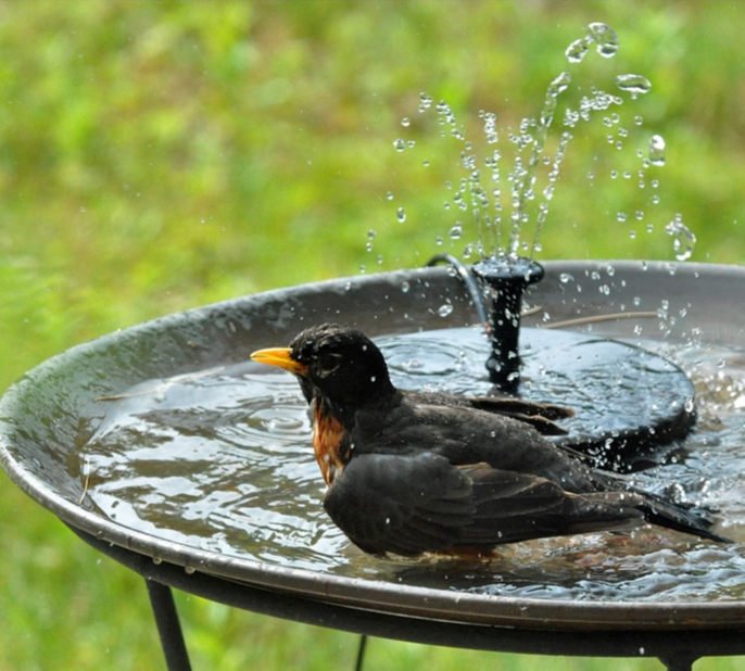 Flowbee – Elegant solar fountain for garden music birds