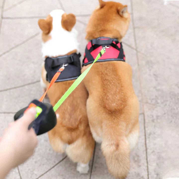DuoPaw - Practical Retractable Dog Leash with Knotless System