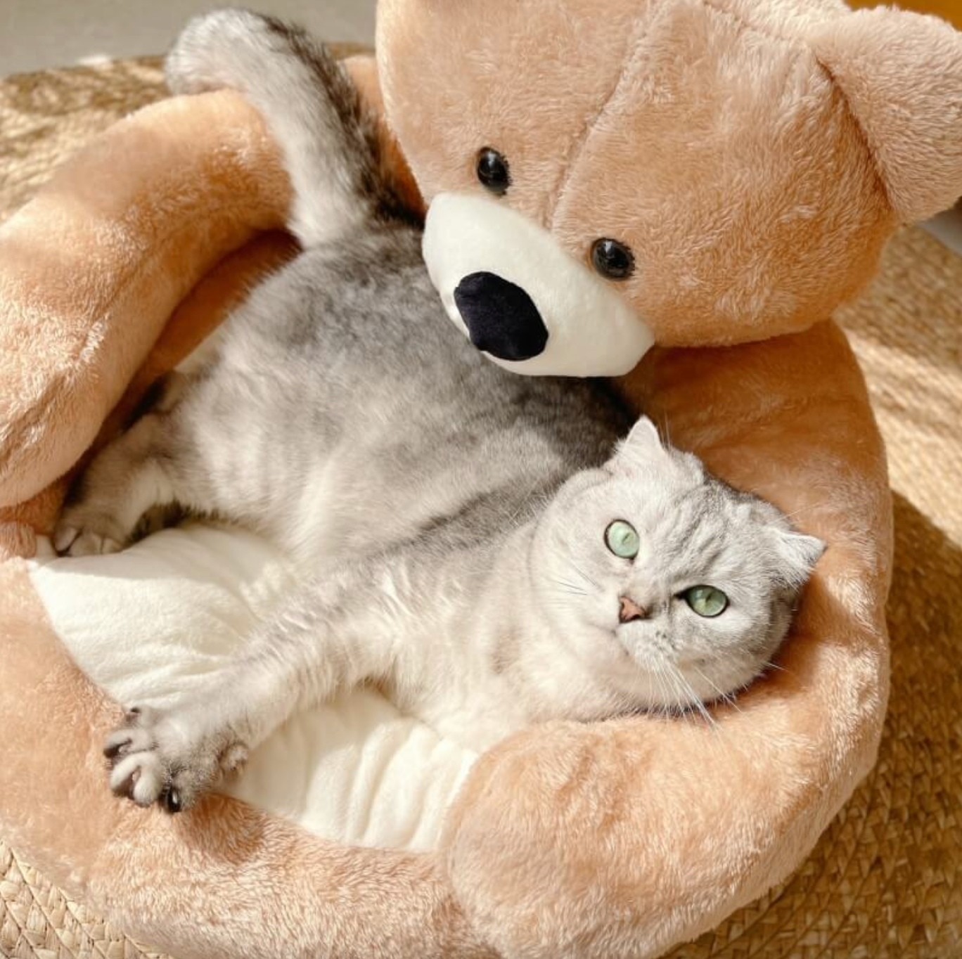 Samiya – Luxurious Plush Cat Bed for Sleeping Comfort