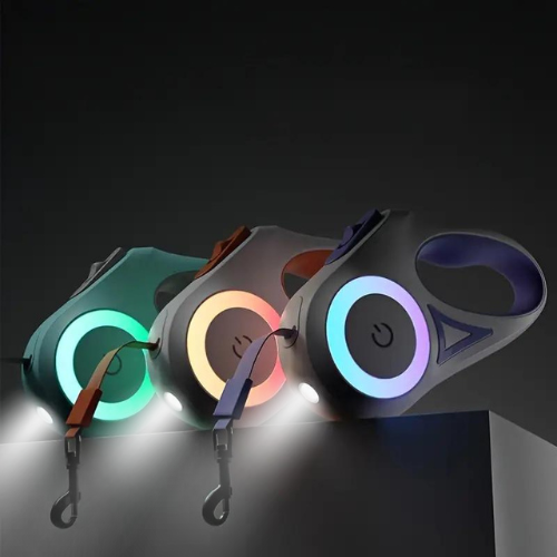 SafeWalk Leash – Illuminated Dog Leash for Safe Walking