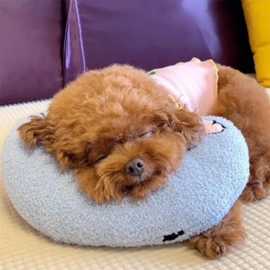 PetEase Luxe - Orthopedic Dog Pillow for Comfort