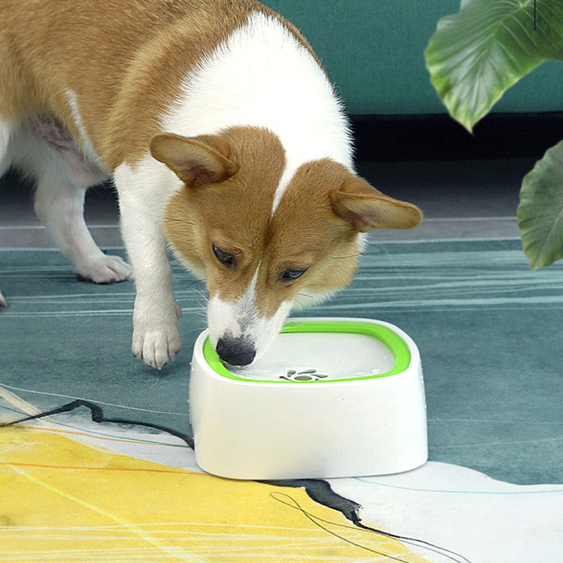 Pet Splash Bowl - Automatic Water Fountain for Pets