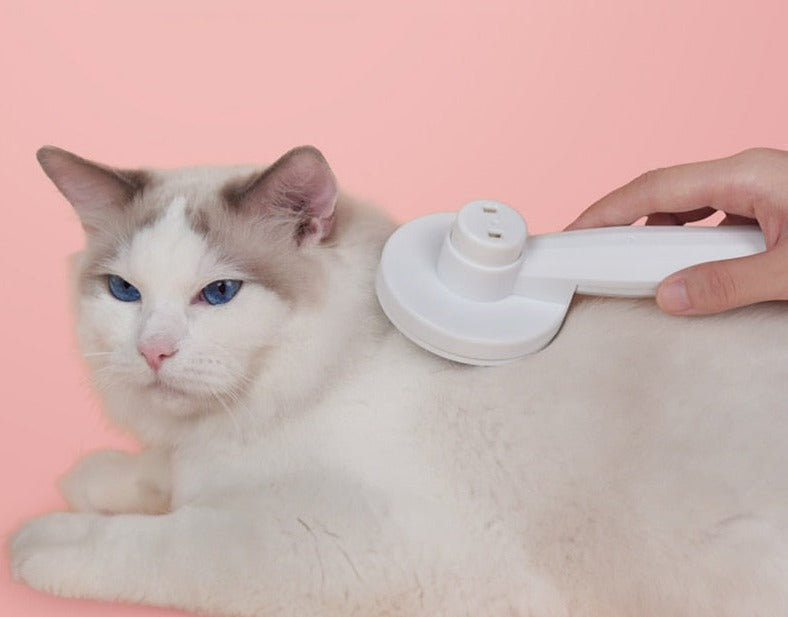 SelfClean - Innovative cat brush for grooming
