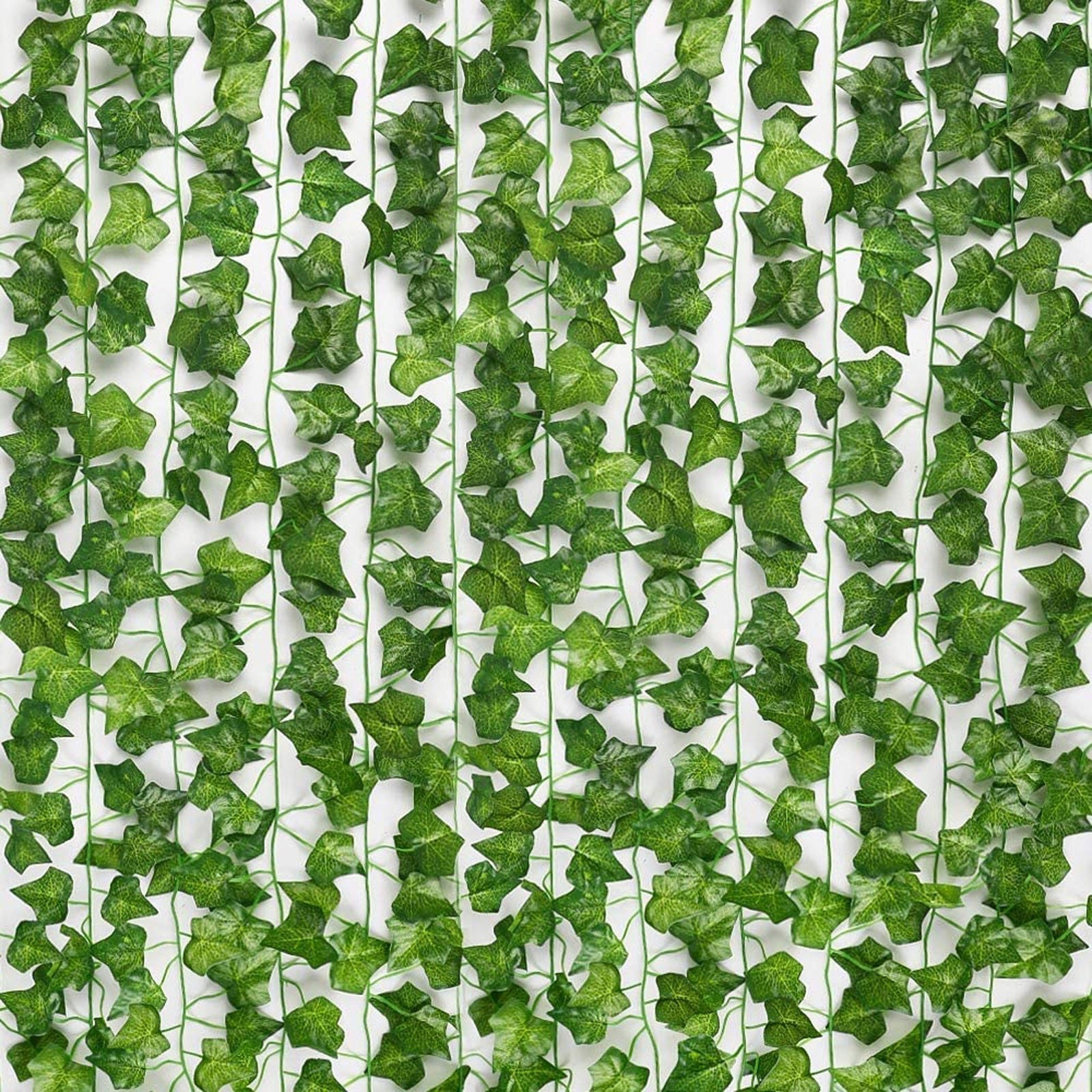 EvergreenGlow – Evergreen Plants for Every Season