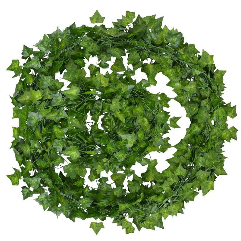 EvergreenGlow – Evergreen Plants for Every Season