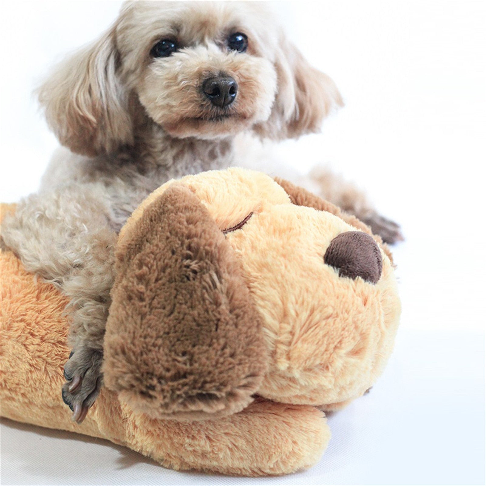 CuddlePup – Comfortable Playmate for Dogs