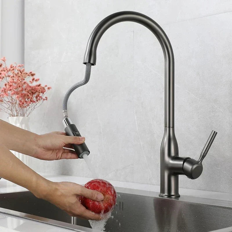 AquaStream Luxe – Adjustable Kitchen Faucet with Hand Shower