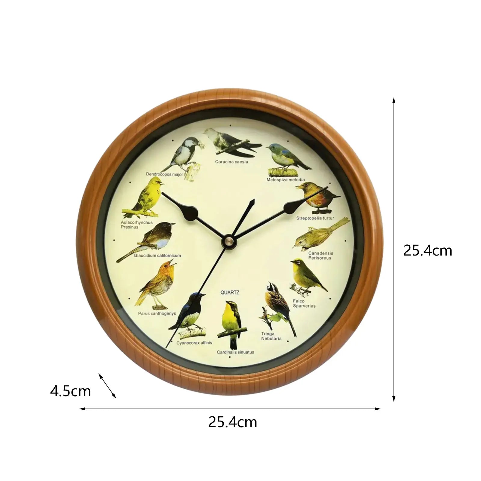 BirdSong Clock – 10 Inch Alarm Clock for Stylish Interior Design