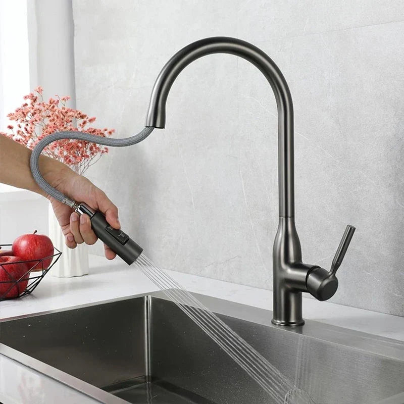 AquaStream Luxe – Adjustable Kitchen Faucet with Hand Shower