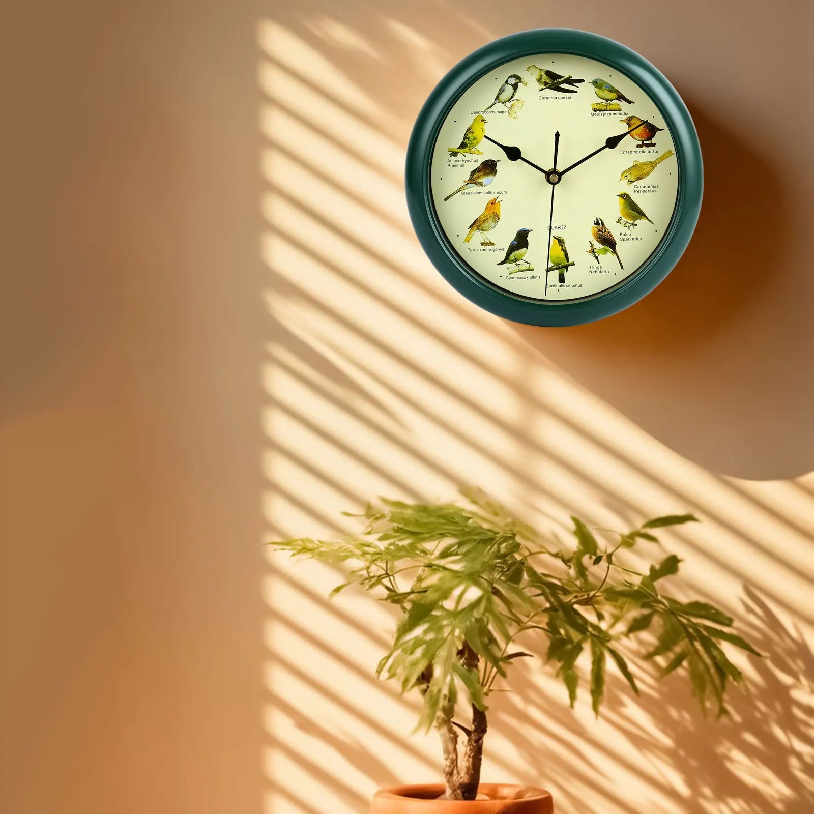 BirdSong Clock – 10 Inch Alarm Clock for Stylish Interior Design