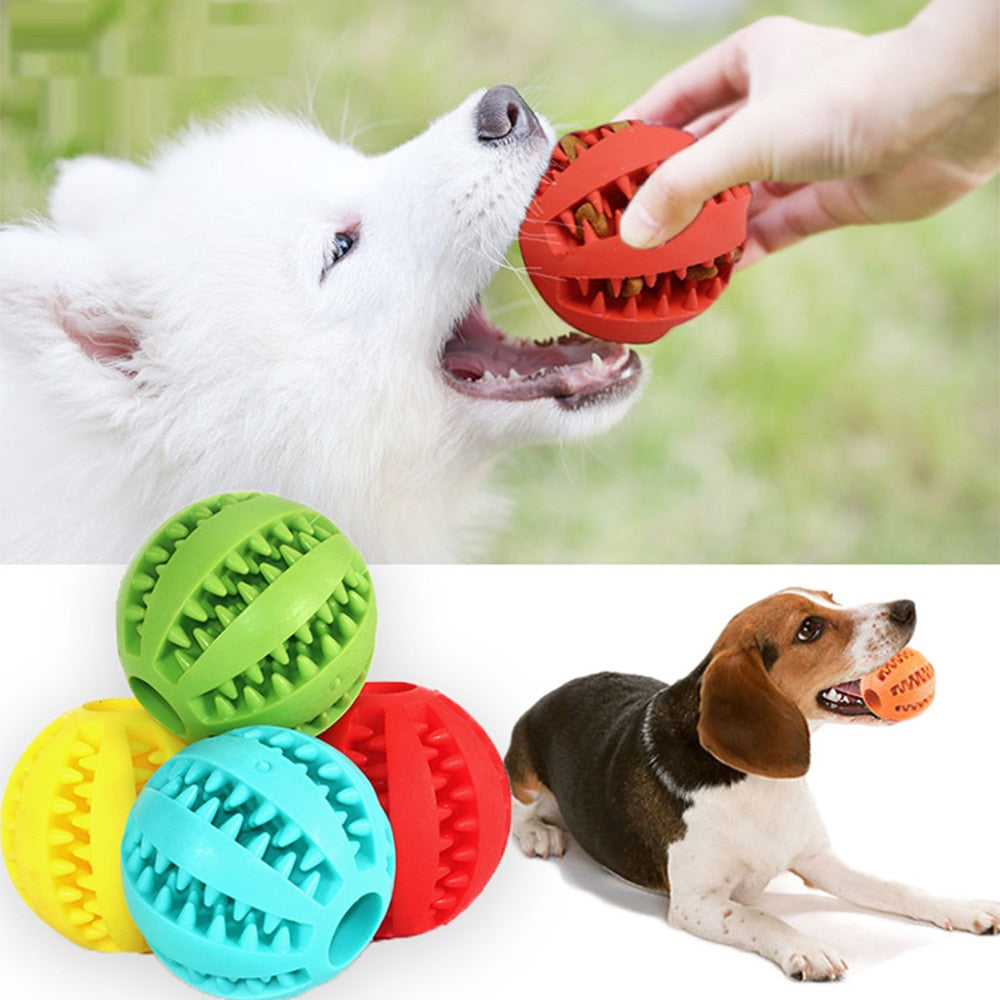 PlayMaster – Sustainable Interactive Dog Game for Fun