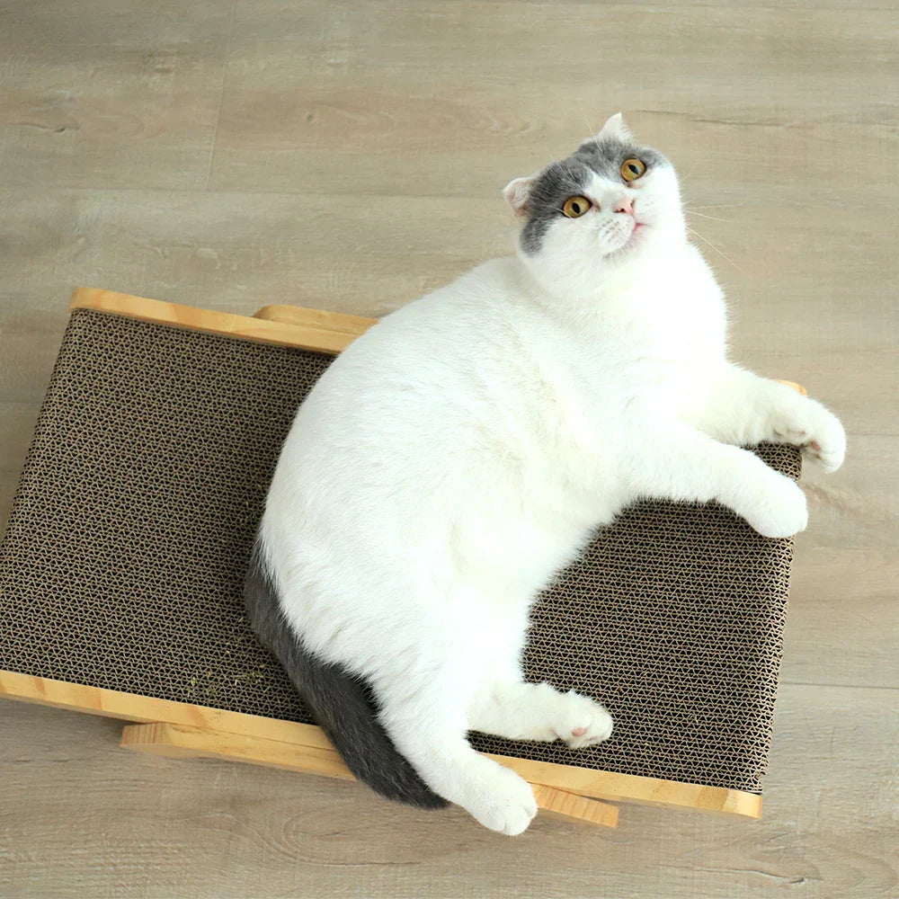 Smatch - Stylish Cat Scratching Post