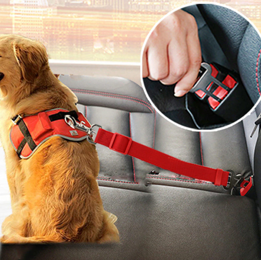 SafePaw – Luxury Dog Car Stroller for Safety