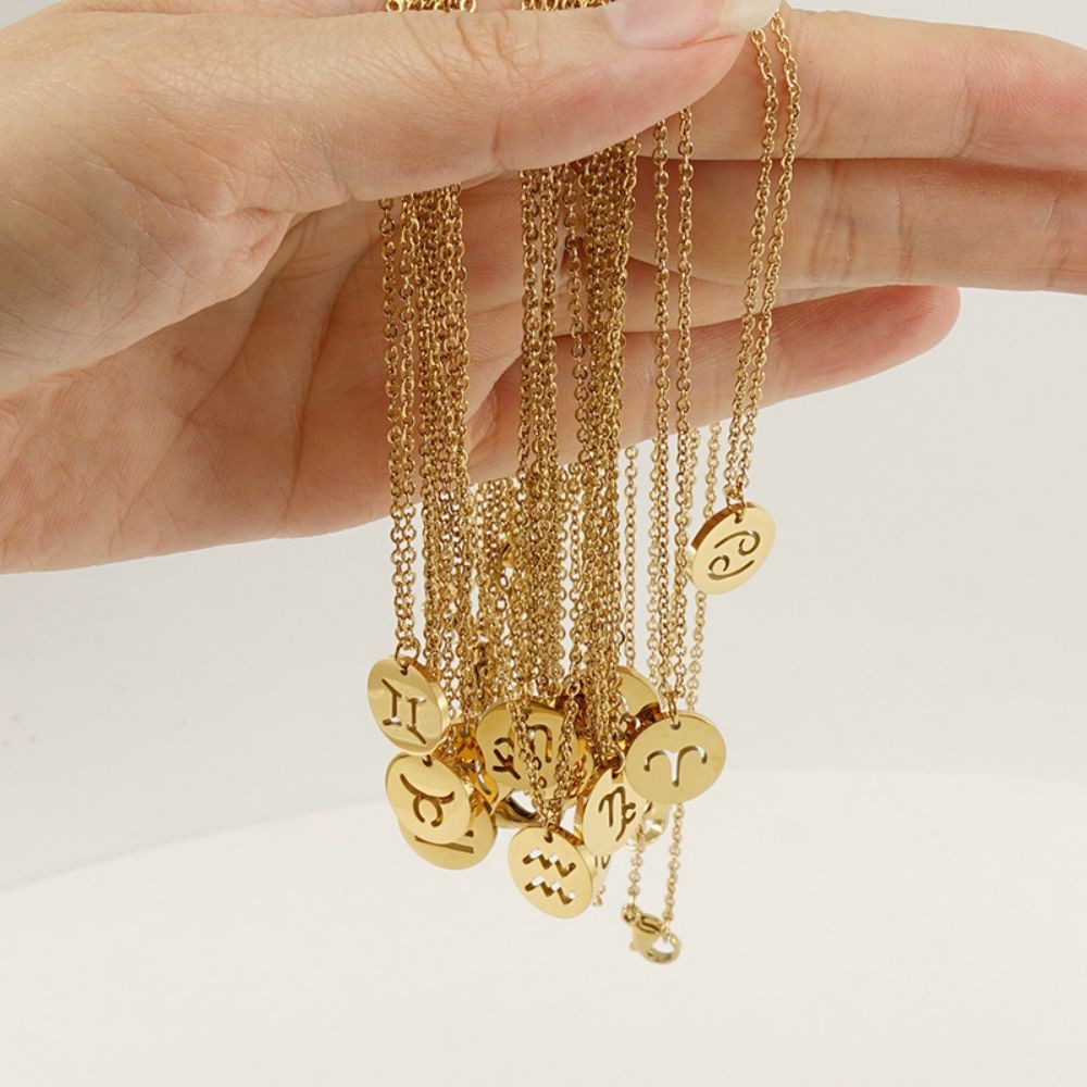 Zodiac Sign Necklace | Durable RVS, Stays Shiny!