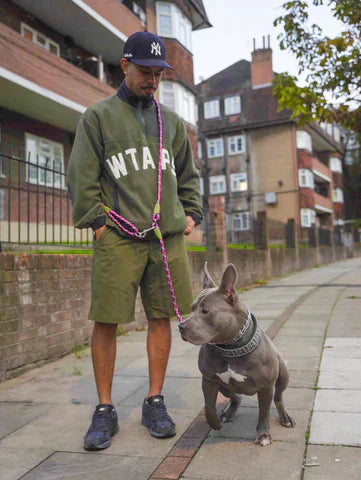 FreedomLeash – Innovative Hands-Free Dog Leash
