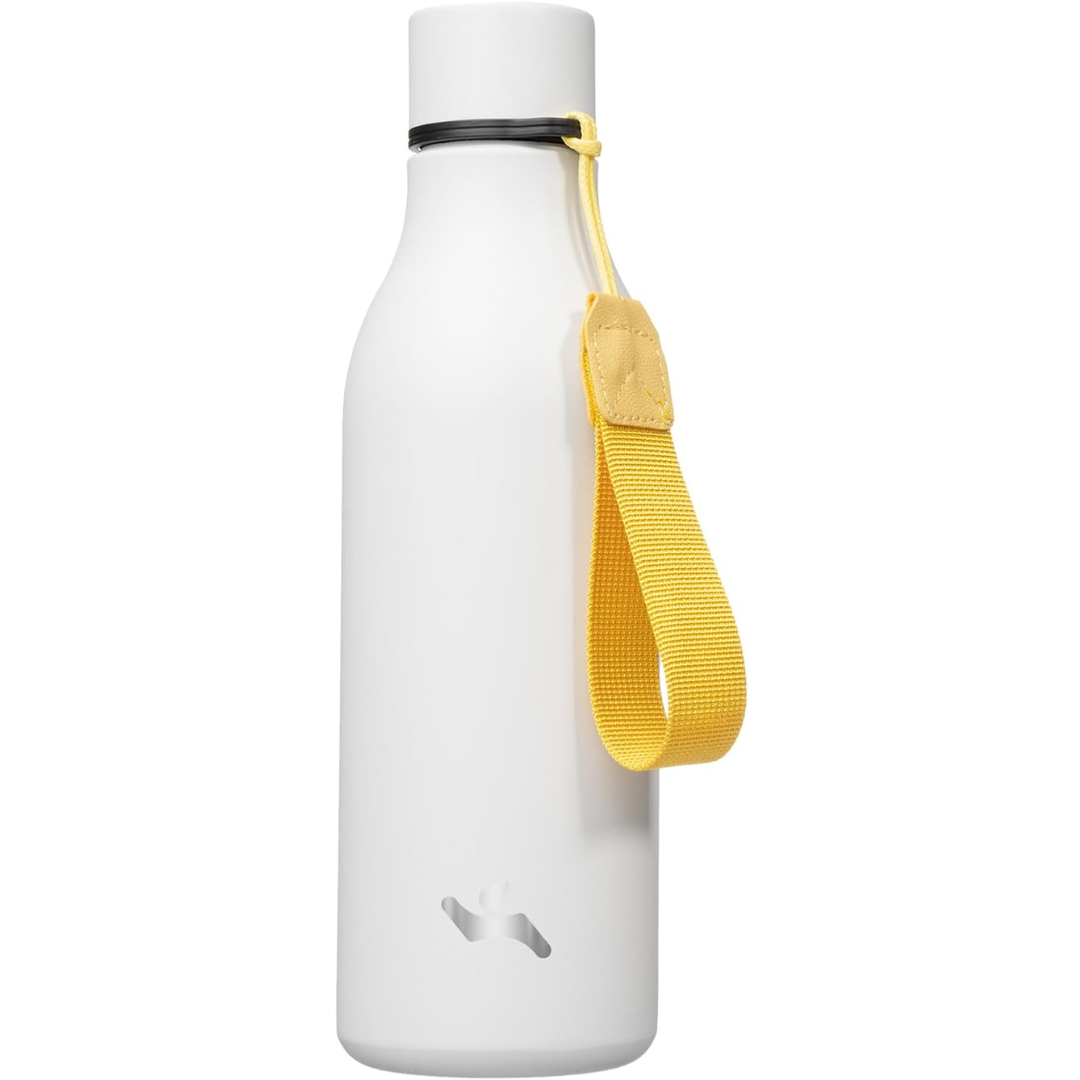 CoolFlow – Stylish RVS Water Bottle with Handle