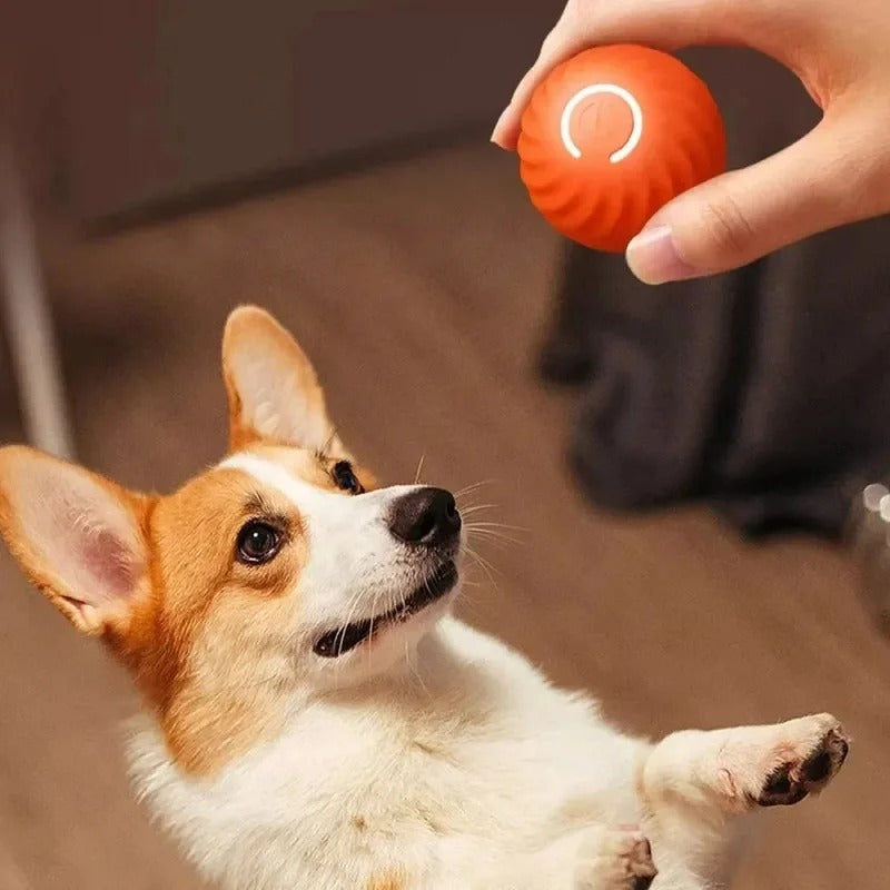 SmartPlay – Automatic Play Ball for Dogs