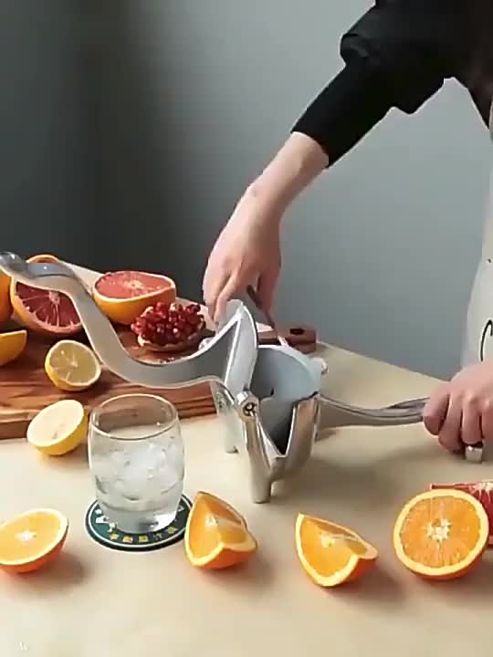 Sumba Juicer - Mångsidig Saftmaskin för Hemmet