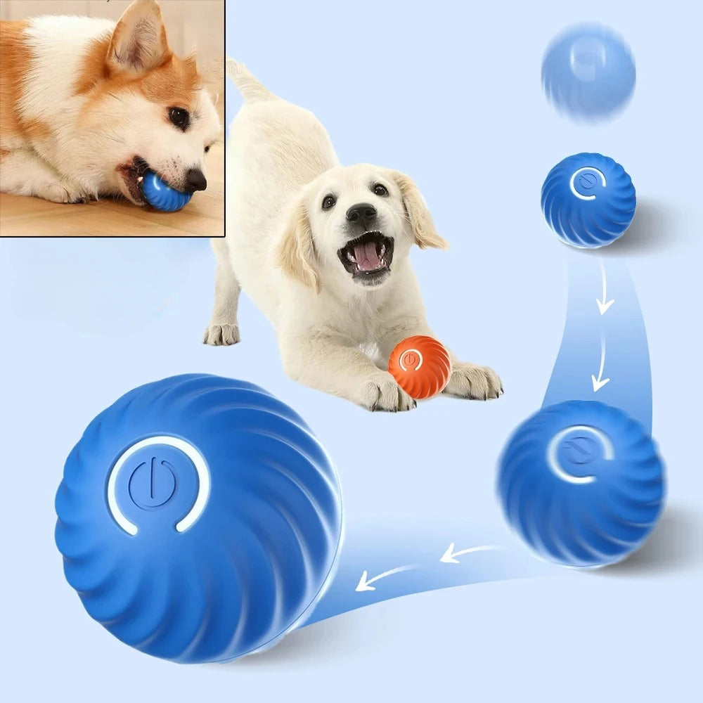 SmartPlay – Automatic Play Ball for Dogs