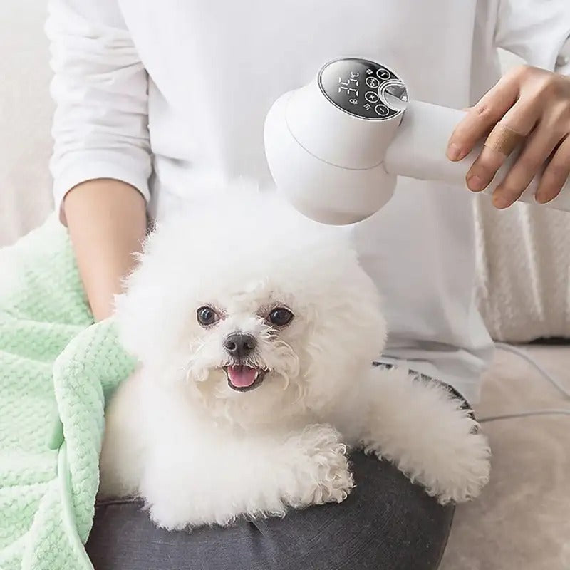 Clément Serenity – Quiet Pet Care Oven