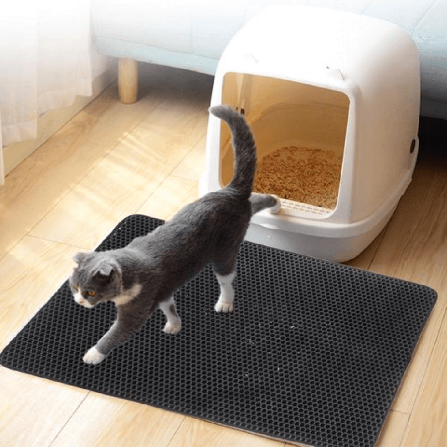 CatGuard Mat – Effective solution against cat litter
