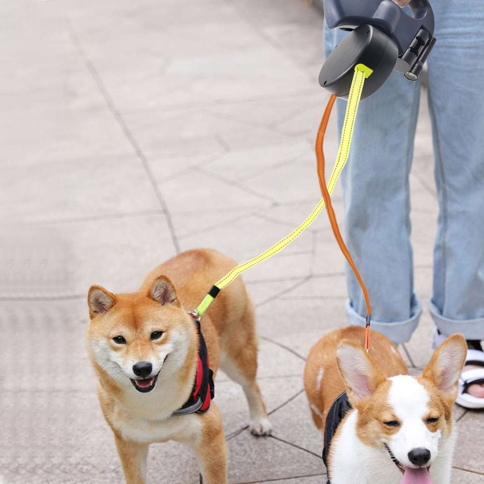 ProPet Duo Leash - The Ultimate Solution for Dogs