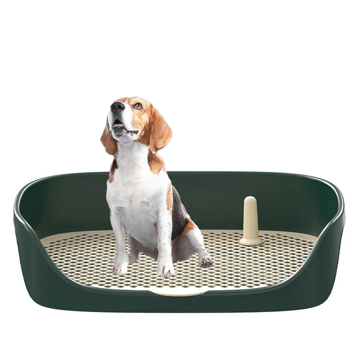 Victor Formation – Toilet Training for Puppies and Kittens