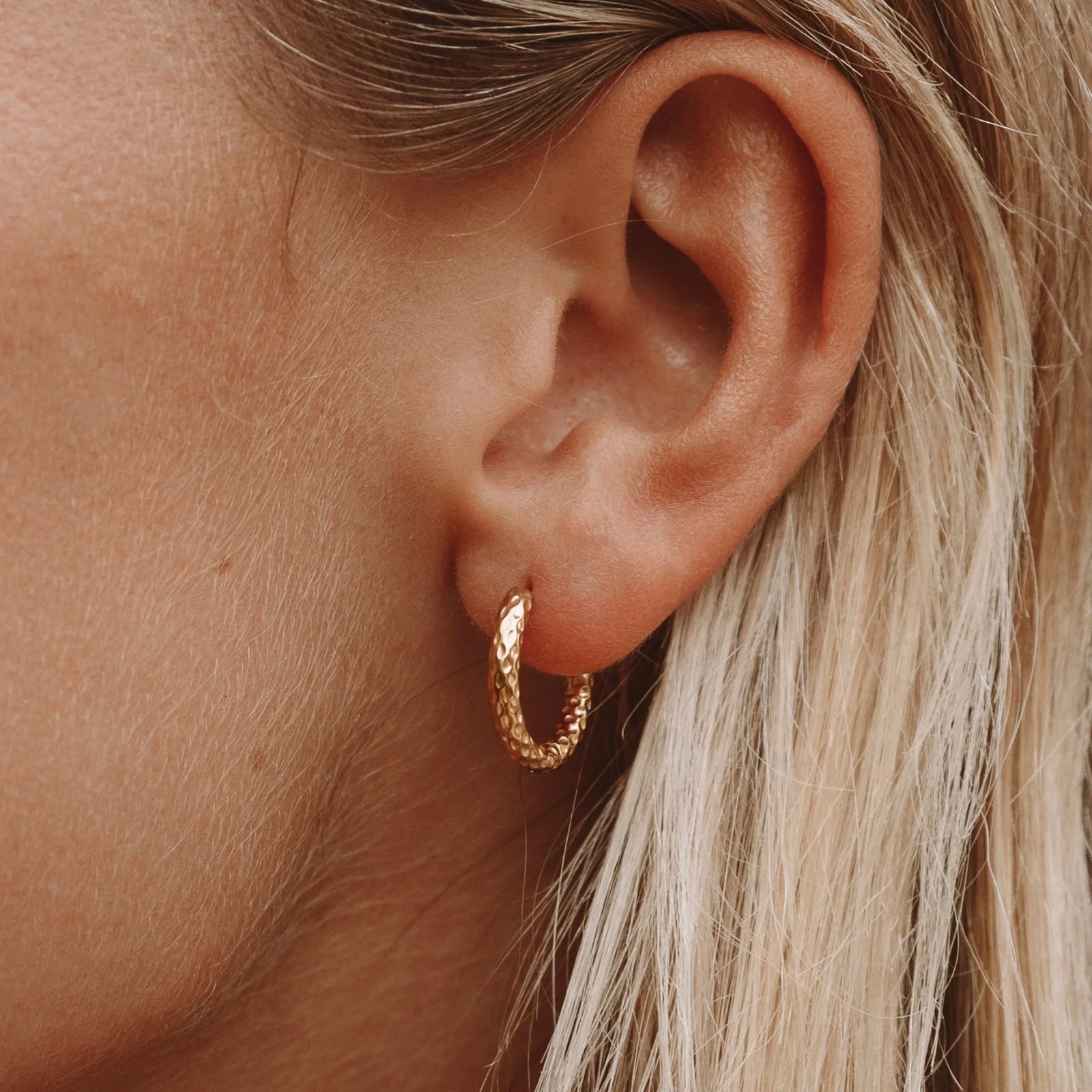 Sparkling Hammered Earrings - Livia
